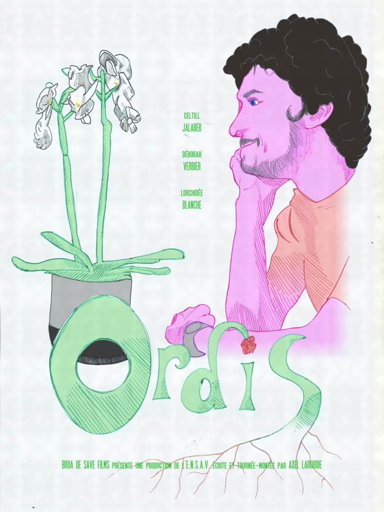 Ordis